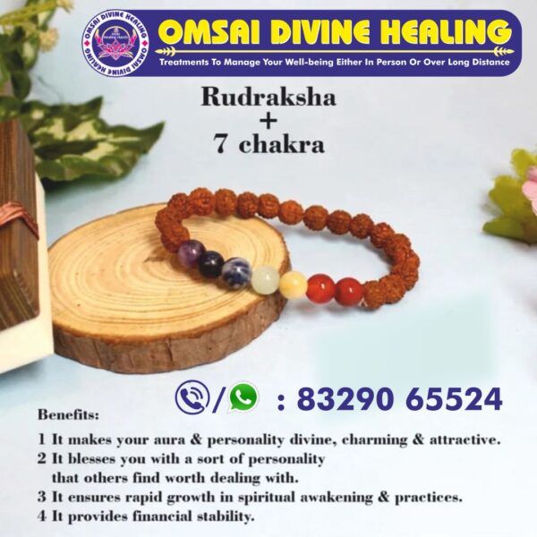 Rudraksha + 7 (Seven) chakra Bracelet