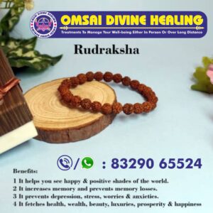 Rudraksha Bracelet